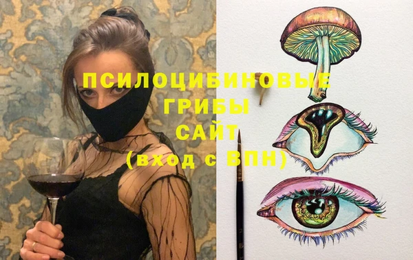 дмт Арсеньев