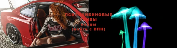 дмт Арсеньев