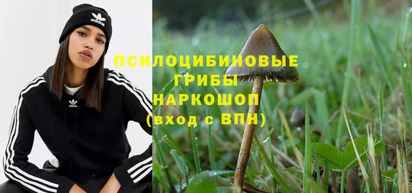 дмт Арсеньев