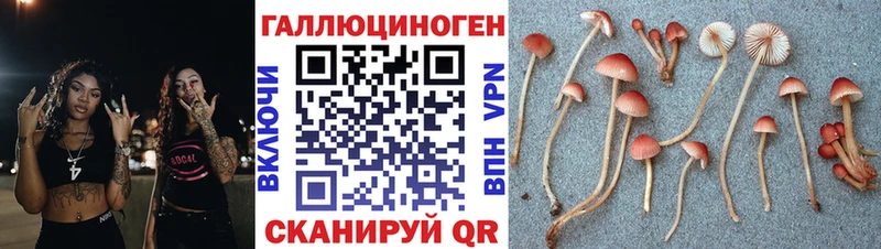 Галлюциногенные грибы Magic Shrooms  сайты даркнета Telegram  Холм 